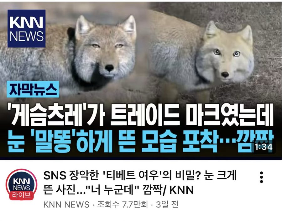 눈-크게-뜬-사진...-너-누군데-0-이미지