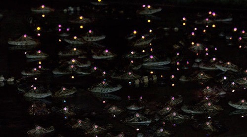 밤에-본-악어-눈-1-이미지