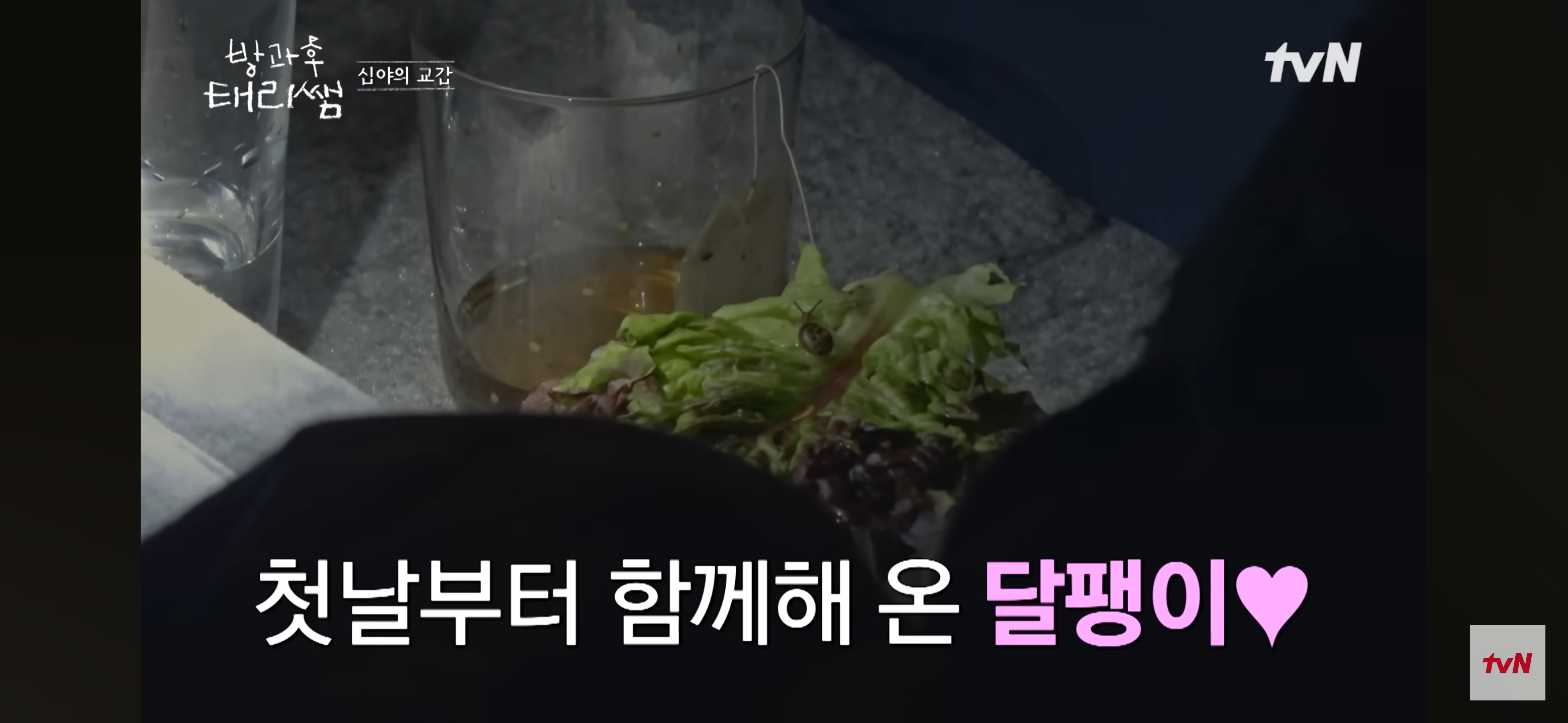 [방과후-태리쌤]-욕실에-붙어있던-달팽이가-신기한-서울-사람들-26-이미지