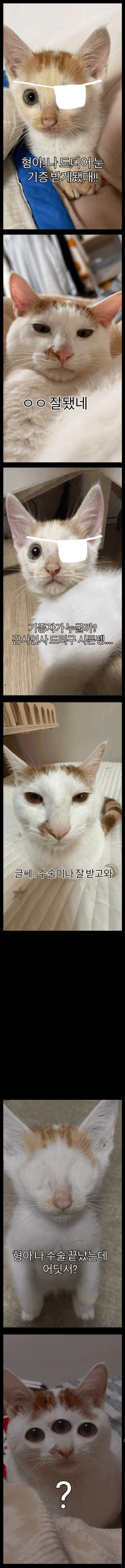 형아-나-드디어-눈-기증받게됐대!!-0-이미지