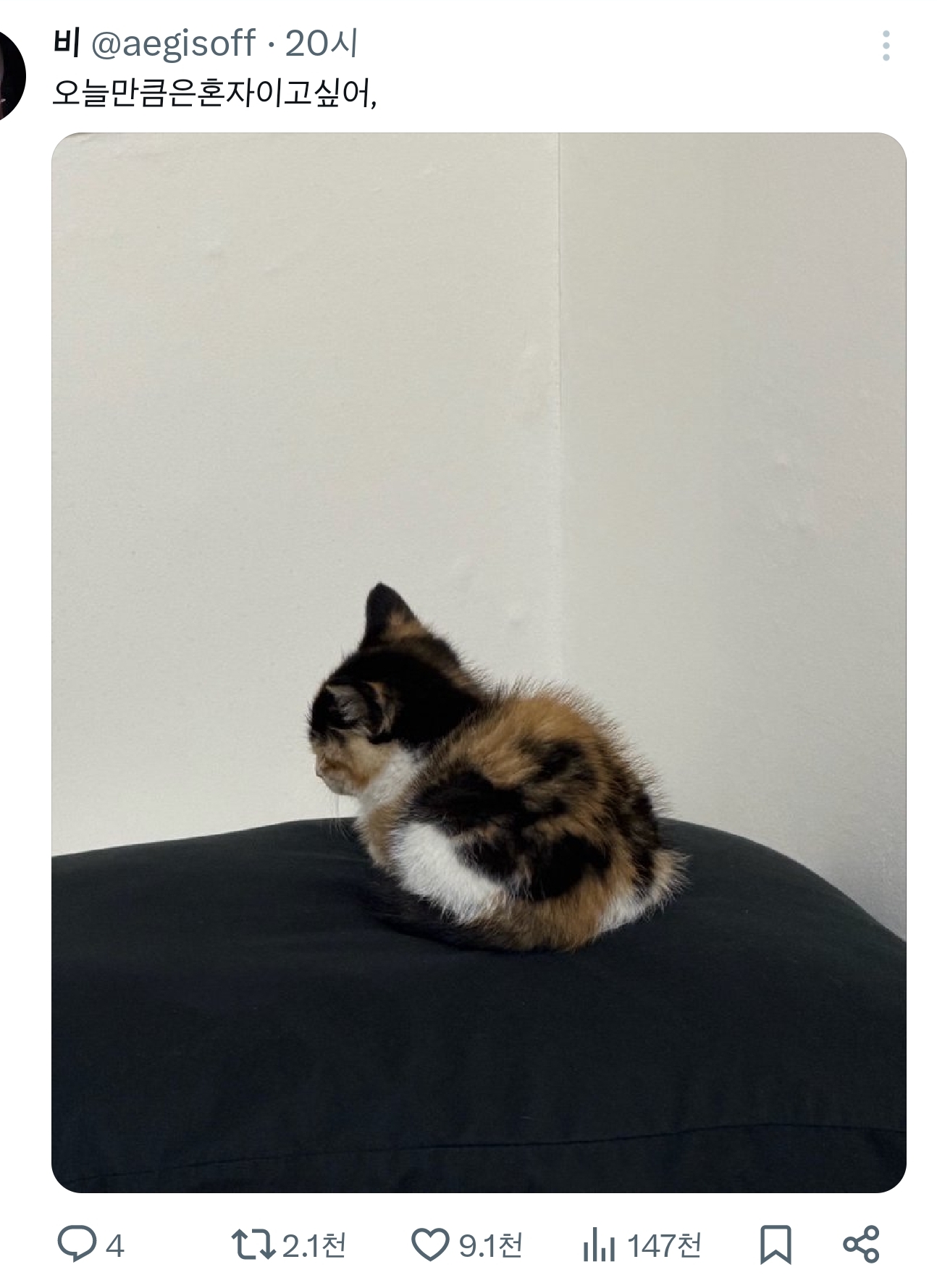 오늘만큼은혼자이고싶어,-1-이미지