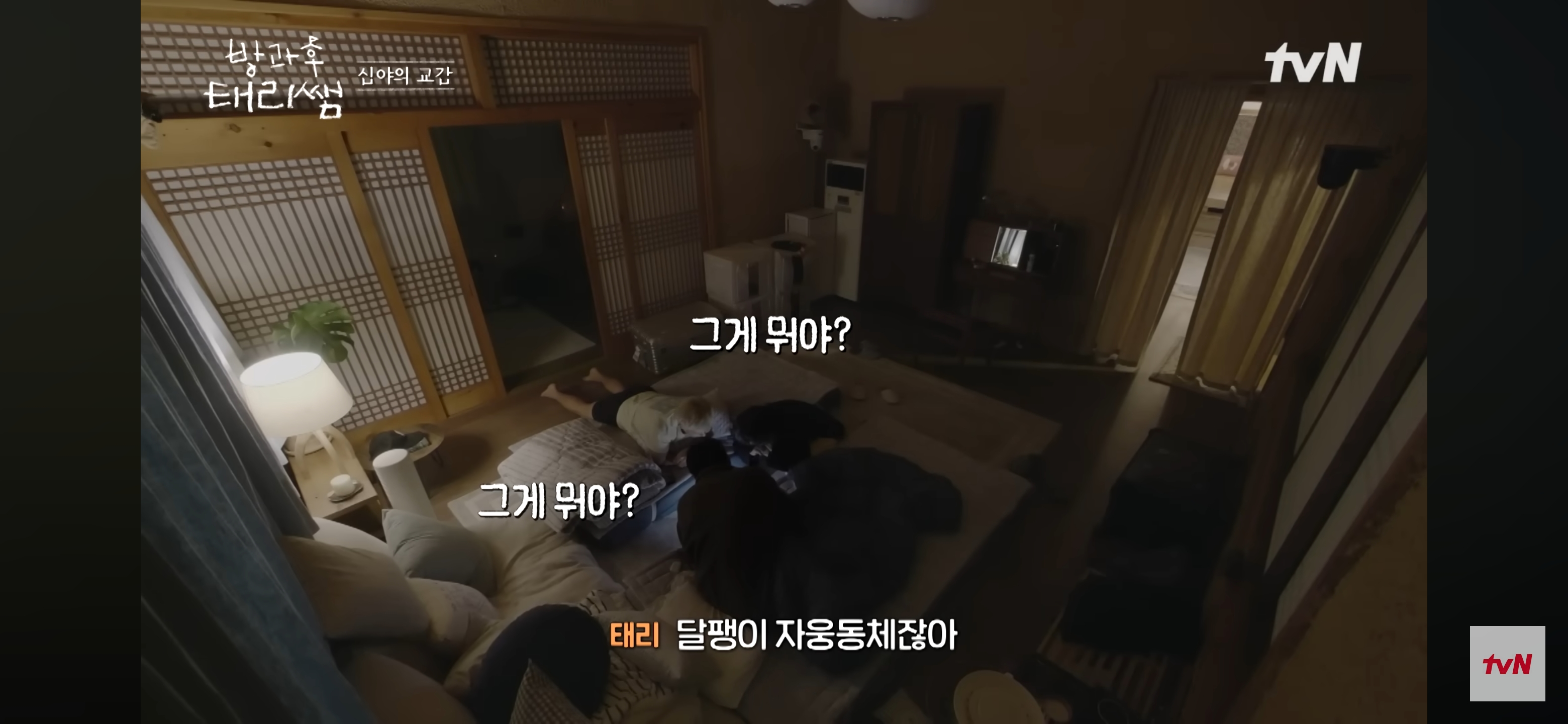 [방과후-태리쌤]-욕실에-붙어있던-달팽이가-신기한-서울-사람들-33-이미지