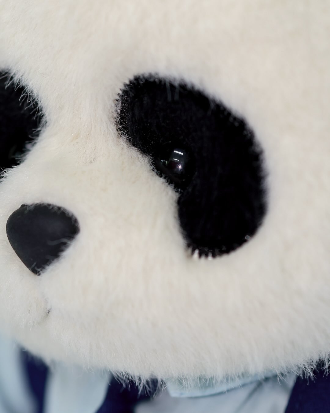 루이후이-x-테디테일즈-콜라보-인형-티져-1-이미지