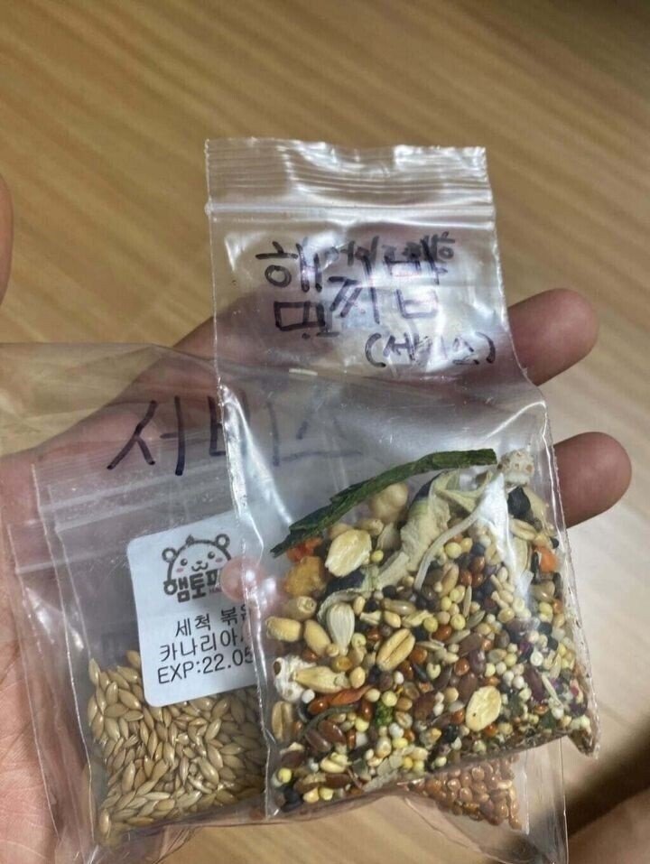 초딩에게-햄찌-용품-당근-구매한-썰.JPG-1-이미지