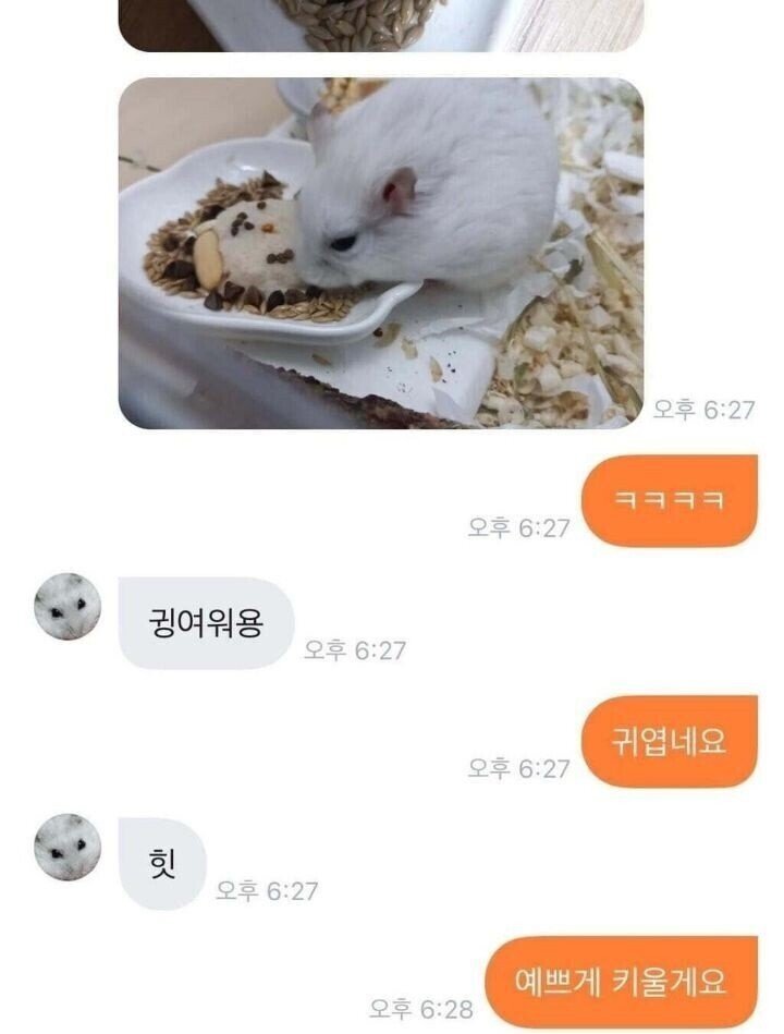 초딩에게-햄찌-용품-당근-구매한-썰.JPG-9-이미지