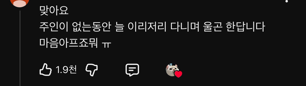 출근-후-홈캠보고-오열한-집사-3-이미지