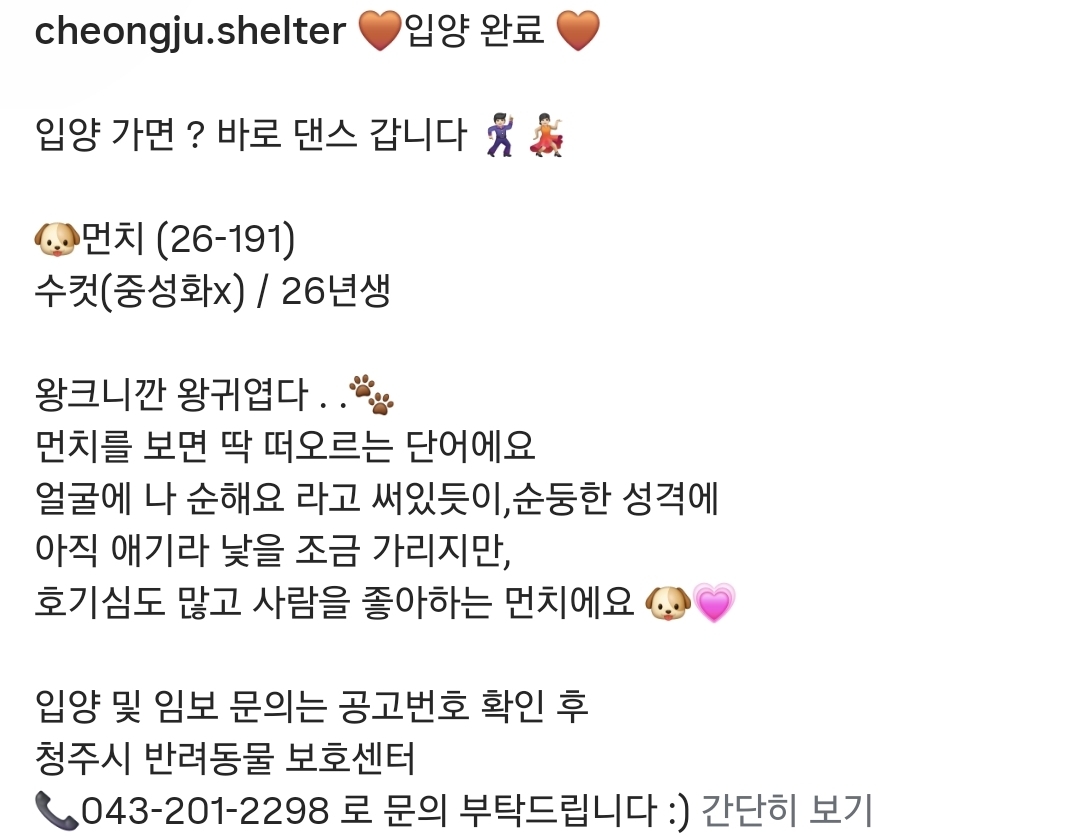 유기견-입양-홍보-릴스-백만뷰-터진-강아지-2-이미지