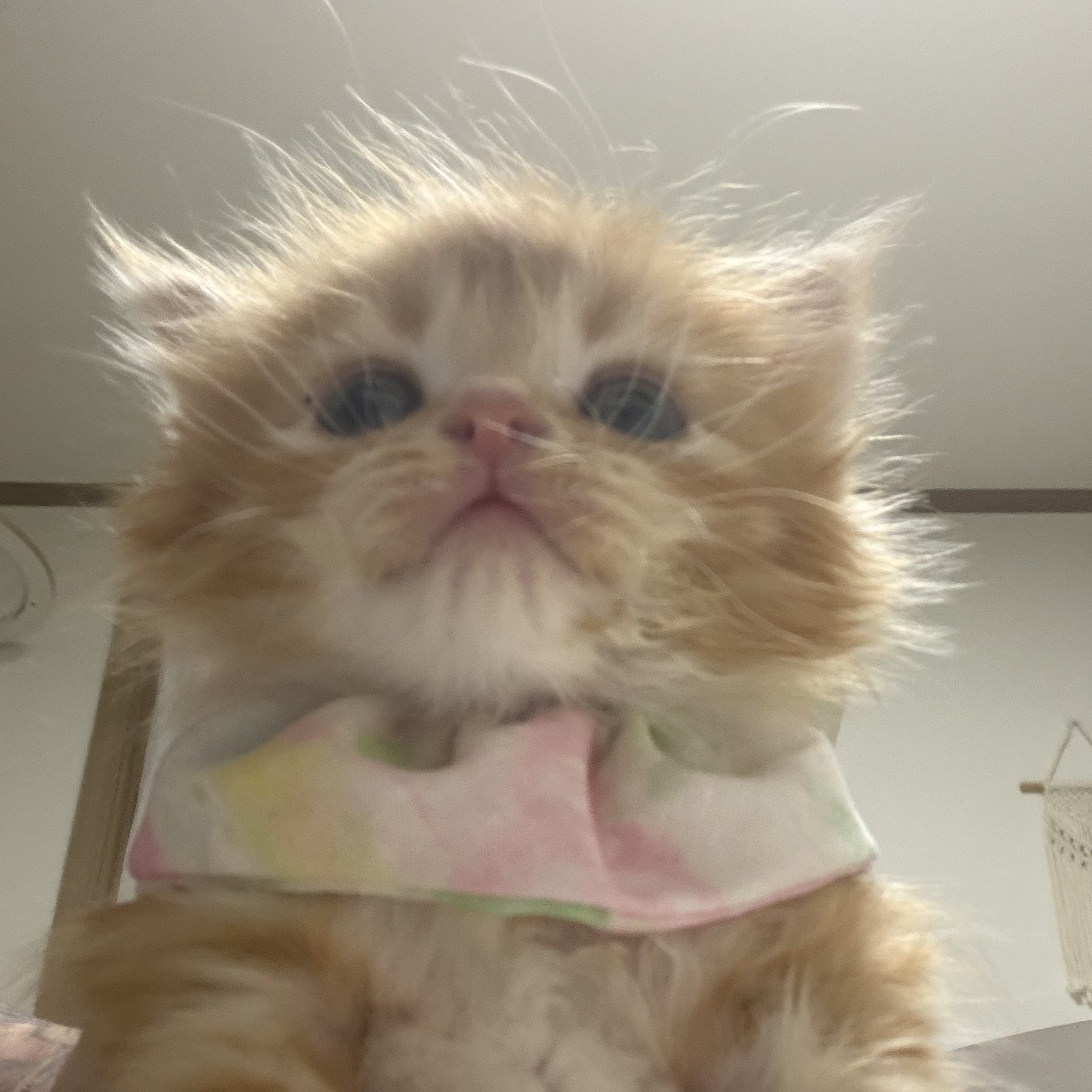 턱받이-선물-받았어요-0-이미지