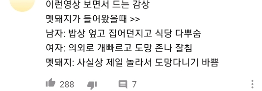 감자탕-먹다가-멧돼지가-처들어옴-10-이미지