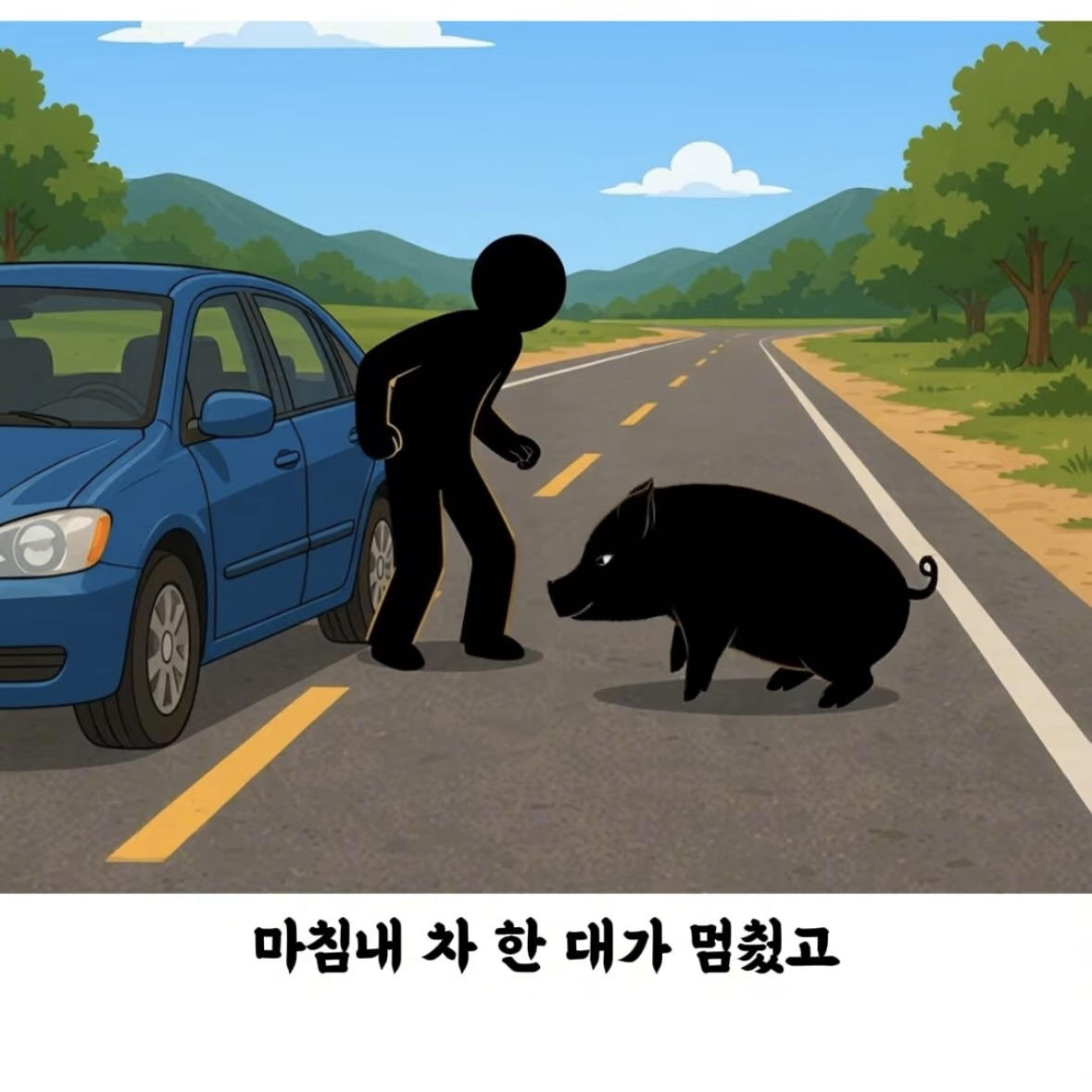 돼지-덕분에-심장마비에서-기적적으로-생존한-여자-10-이미지