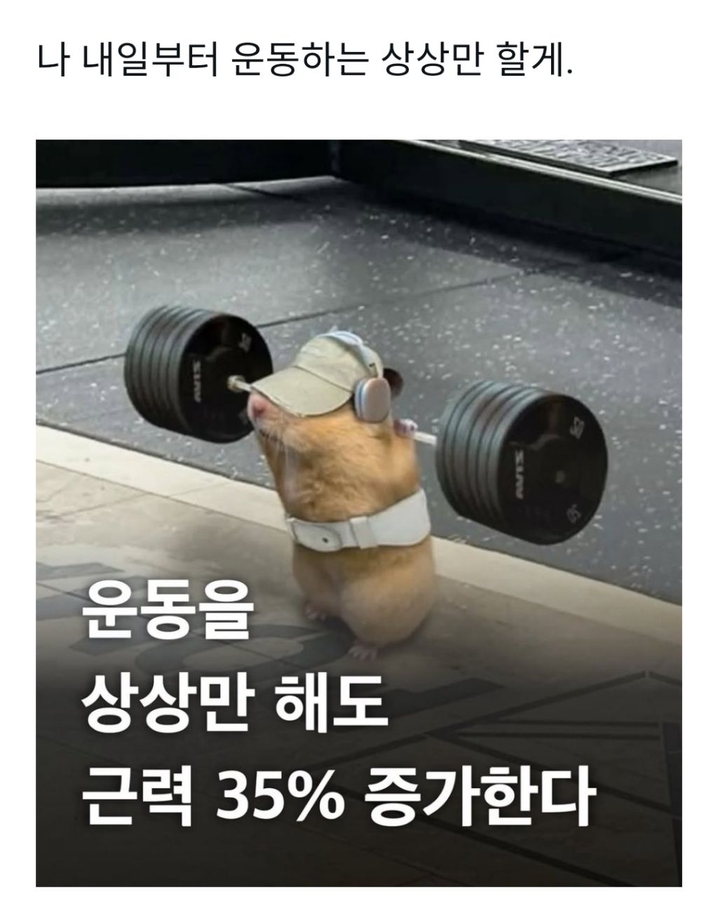 운동하는-상상만-해도-된대-1-이미지