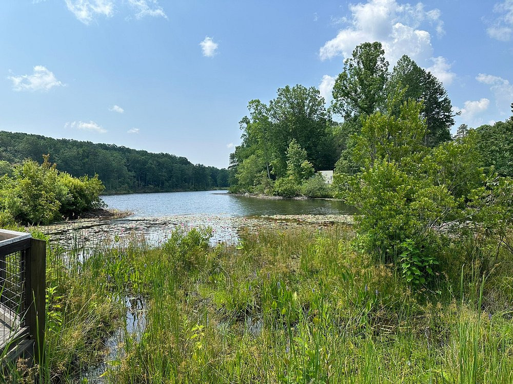 세계에서-가장-큰-사파리-동물원---미국-NC-Zoo-8-이미지