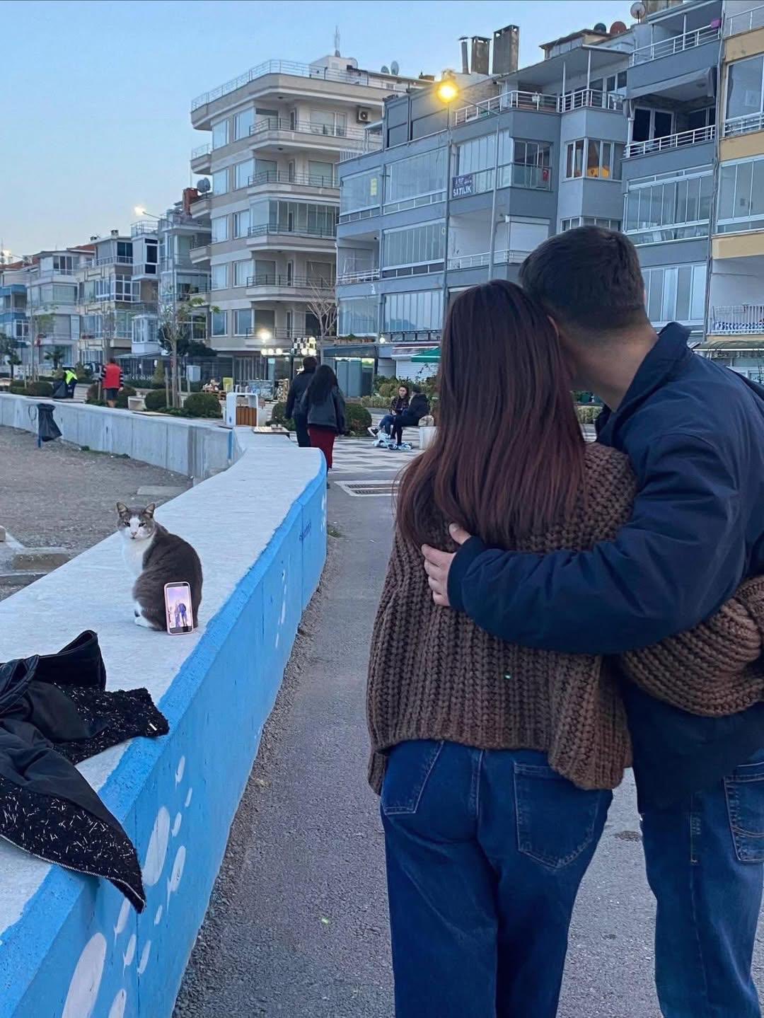 터키에서-삼각대-대신-쓰인-고양이-0-이미지