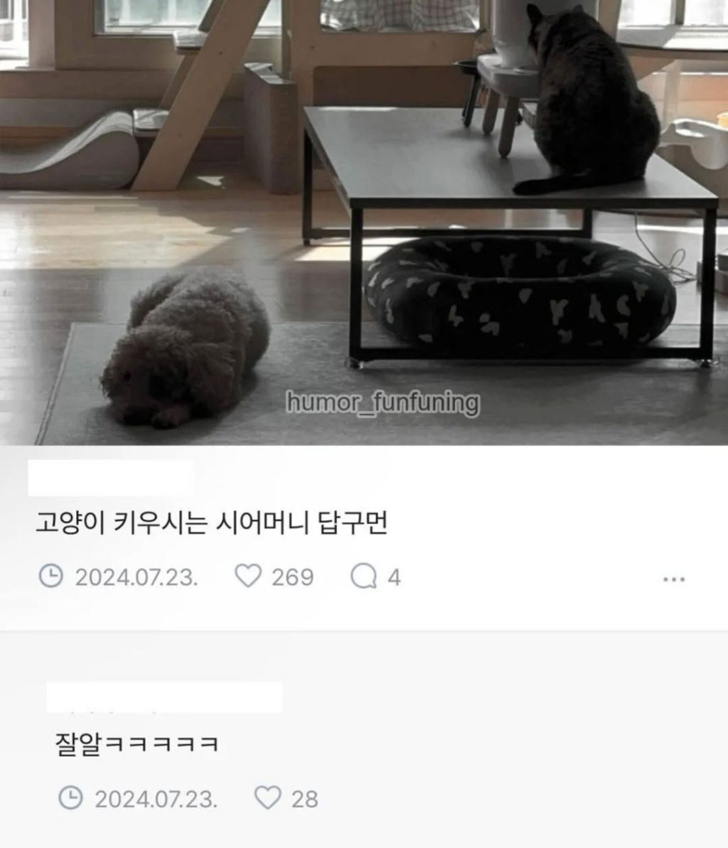 시어머니가-그만-좀-오라시넹..-1-이미지