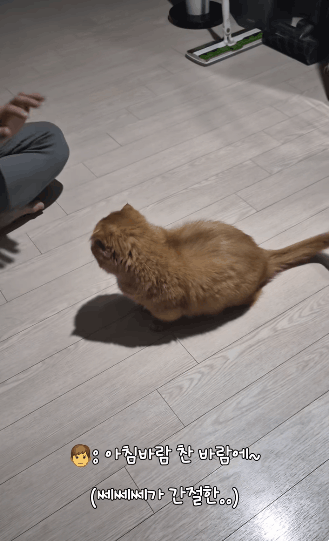 아침-바람-찬-바람에~-0-이미지