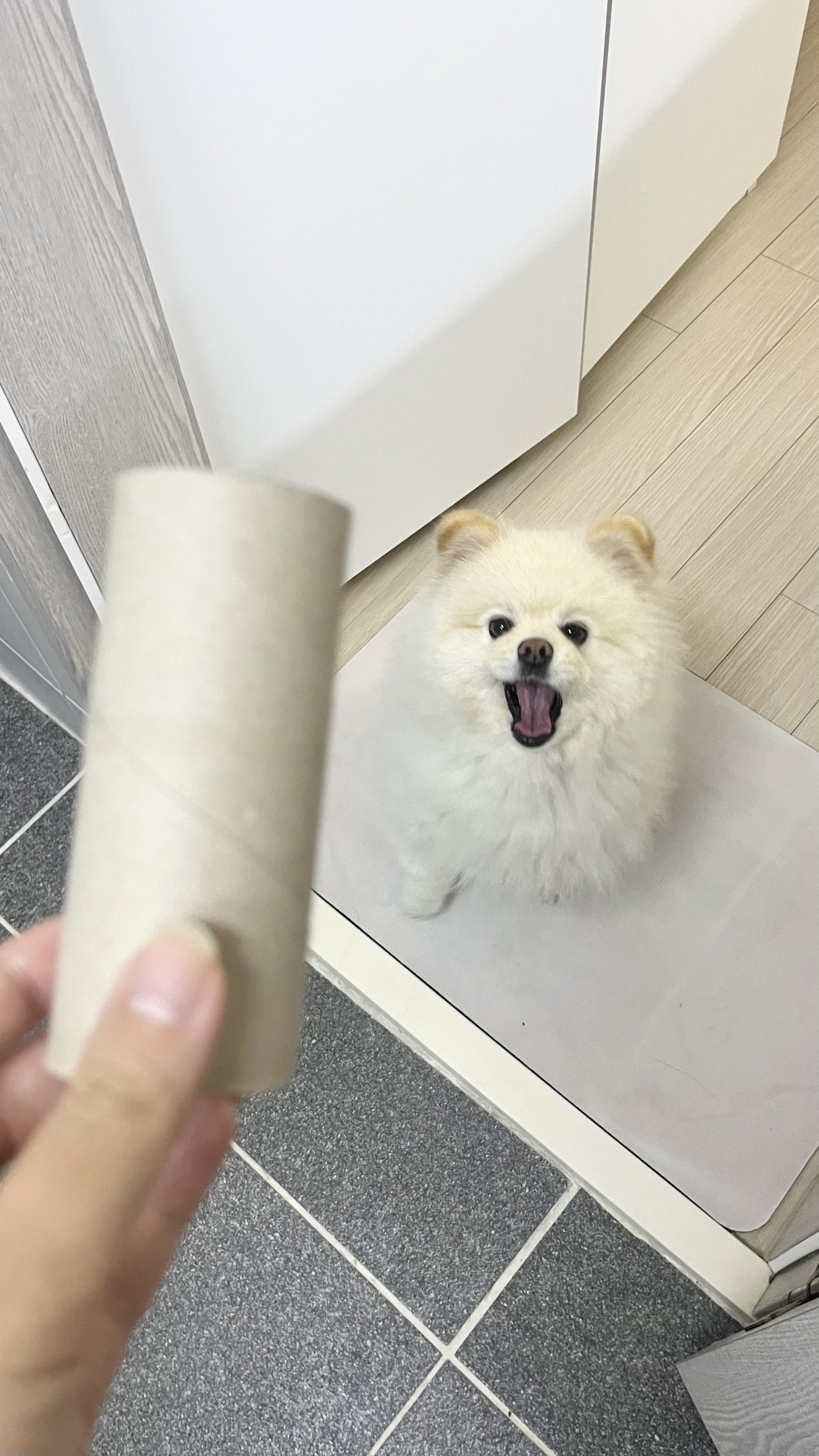 화장실-매니절-부른적-없다고...twt-5-이미지