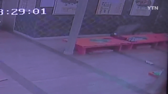 감자탕-먹다가-멧돼지가-처들어옴-8-이미지