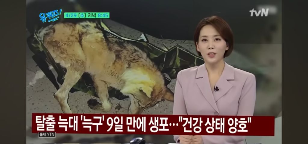 다음주-유퀴즈-늑구.jpg-0-이미지