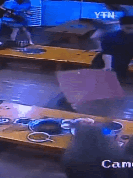 감자탕-먹다가-멧돼지가-처들어옴-5-이미지