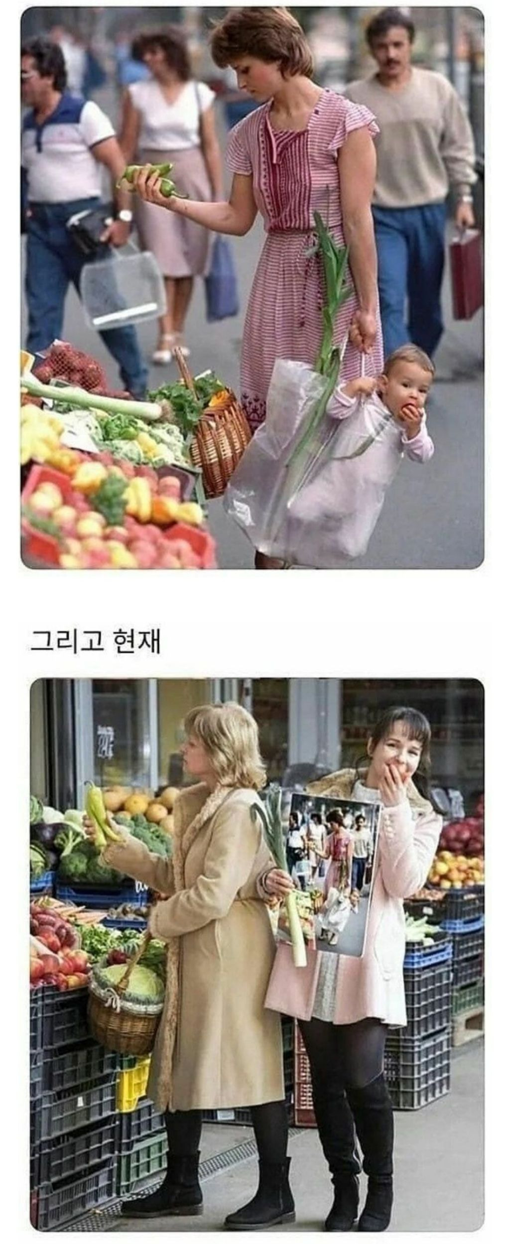 딸을-비닐봉투에-넣고-장보는-어머니-0-이미지