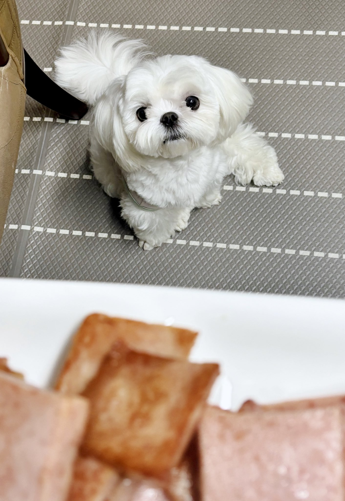 화장실-매니절-부른적-없다고...twt-4-이미지