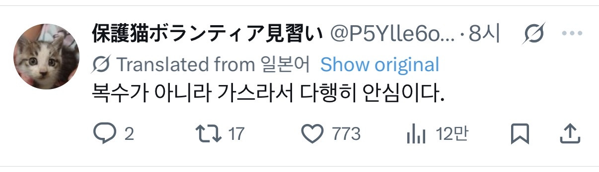 배가-너무-볼록해서-엑스레이-찍은-고양이-3-이미지