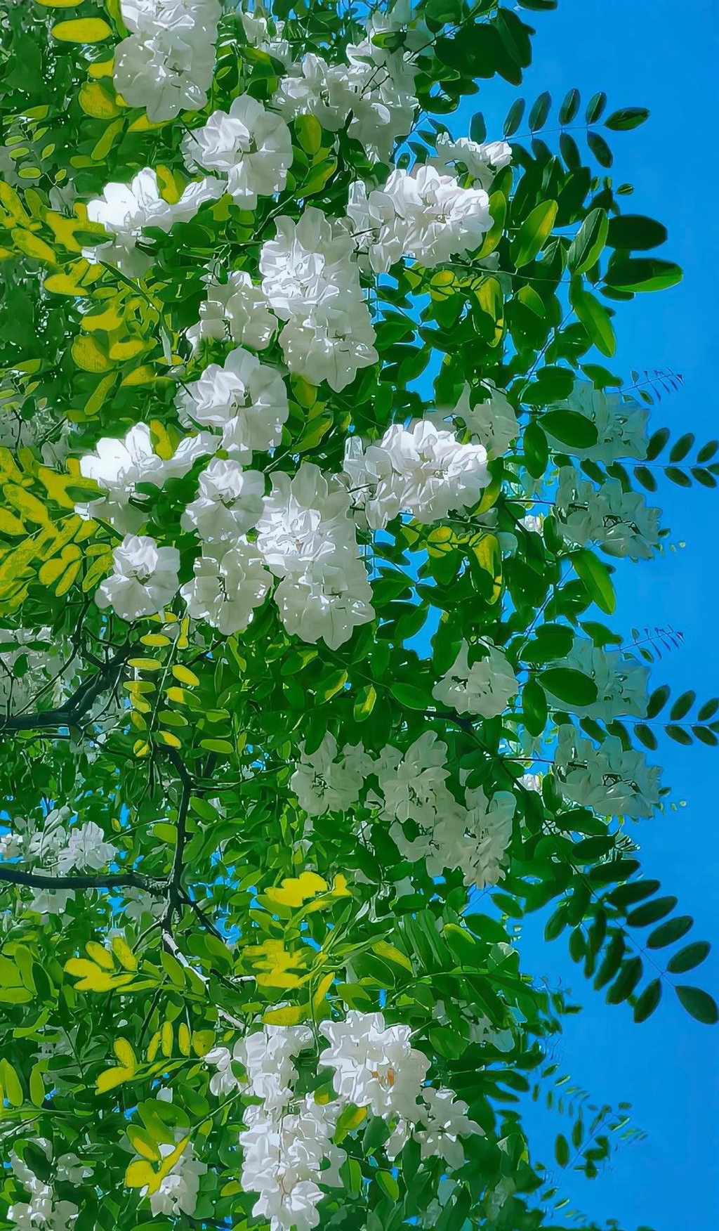 여름이-올랑말랑-직전의-봄에-쓰기-좋은-배경화면-모음-☀️🌸🌿-6-이미지