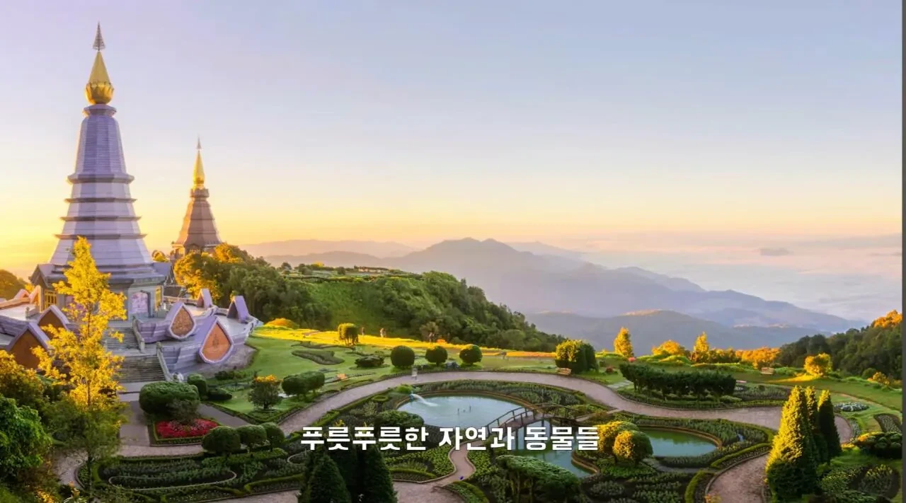 4년째-해외여행중인-유튜버가-뽑은-최악-여행지.JPG-22-이미지