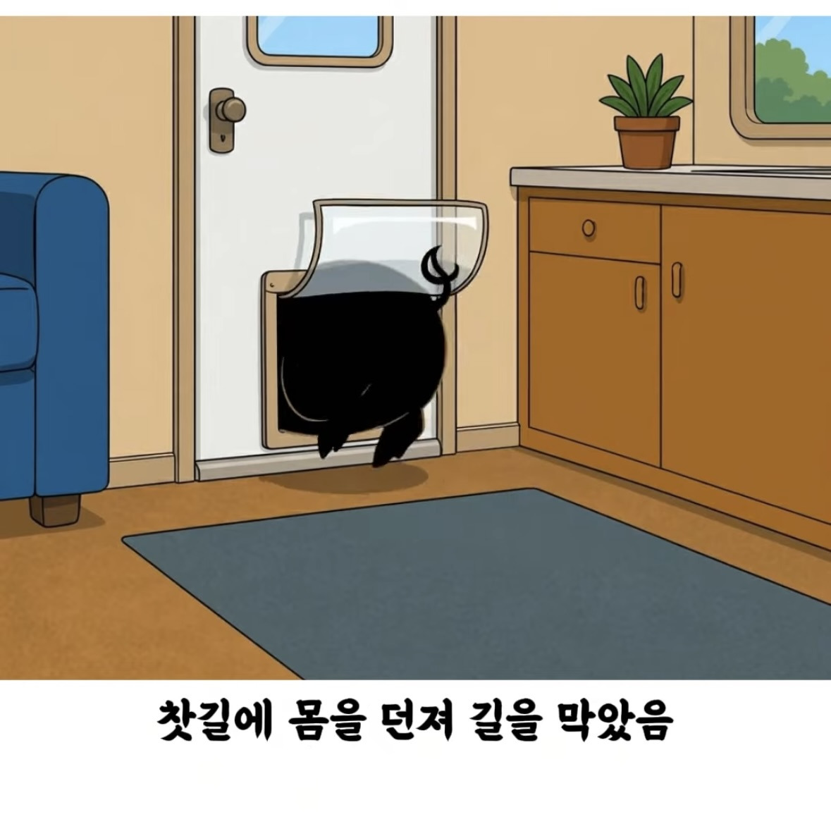 돼지-덕분에-심장마비에서-기적적으로-생존한-여자-7-이미지