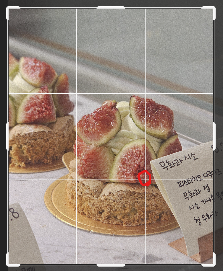 음식-사진-찍다가-혼자-터득한-후기-ㄷㄷㄷㄷㄷㄷㄷㄷ.jpg-5-이미지