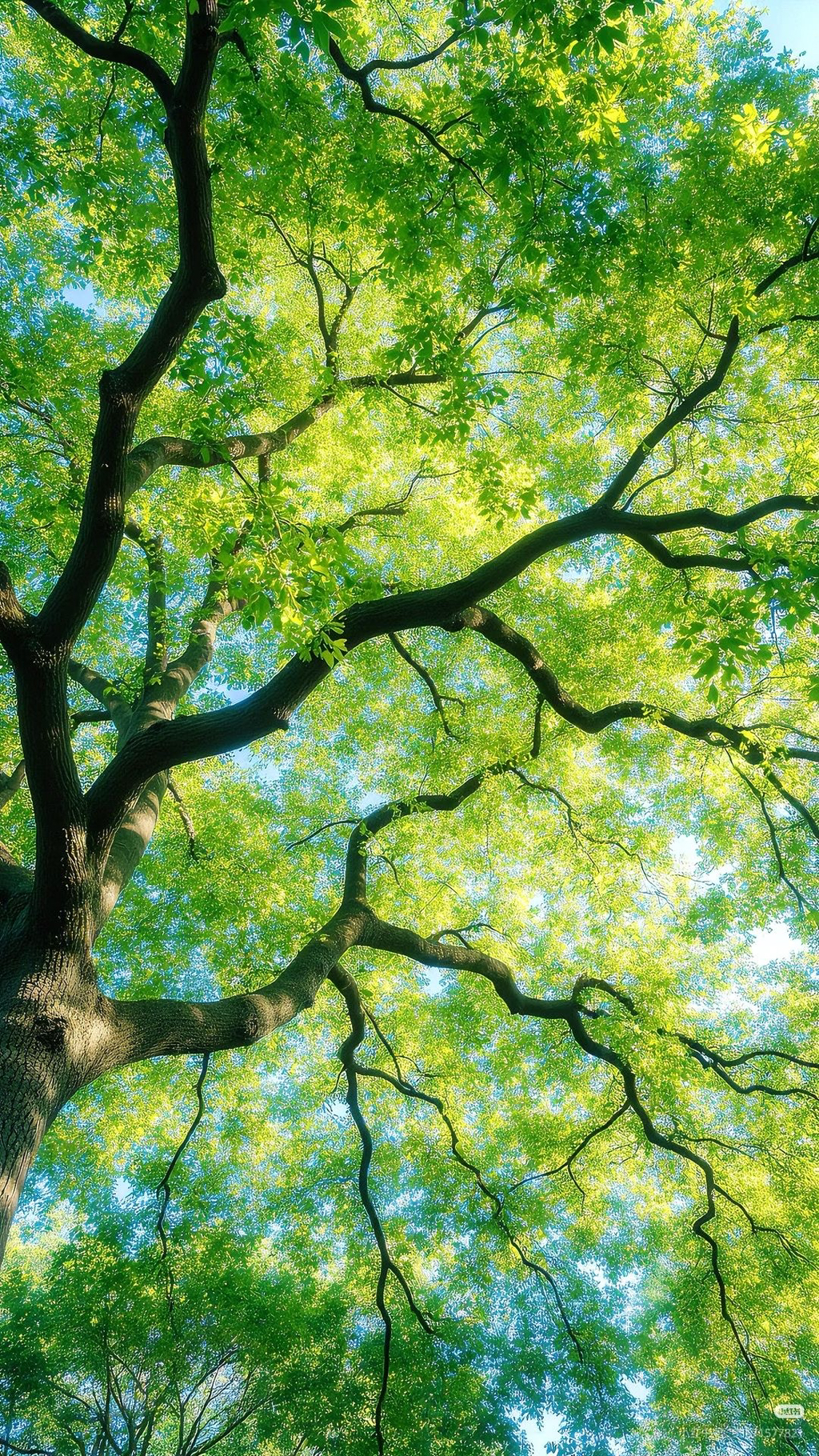 여름이-올랑말랑-직전의-봄에-쓰기-좋은-배경화면-모음-☀️🌸🌿-3-이미지