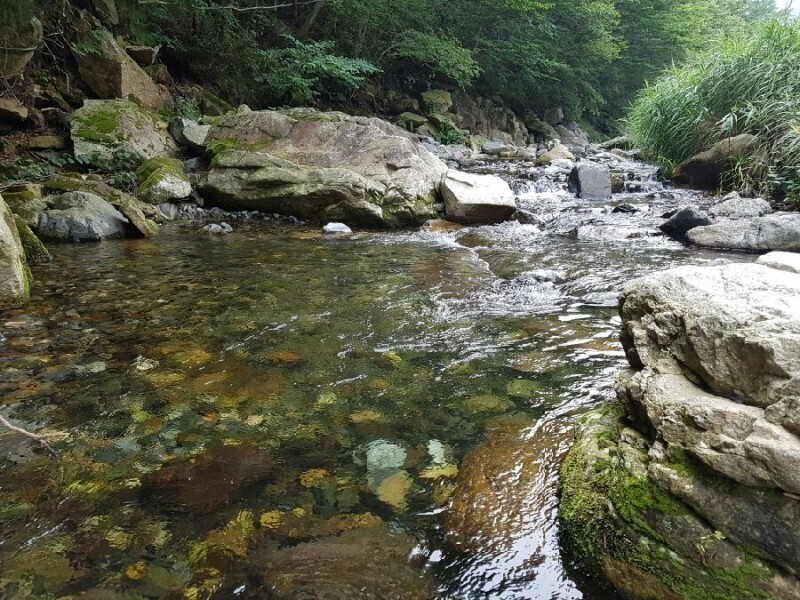 그때-그시절-낭만,-계곡-삽겹살-0-이미지