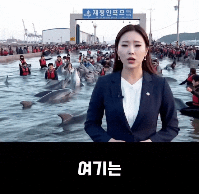 타지-사람들은-잘-모르는-울산-흔한-풍경.jpg-0-이미지