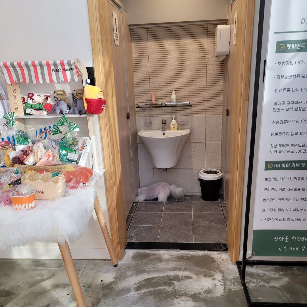 화장실-매니절-부른적-없다고...twt-0-이미지