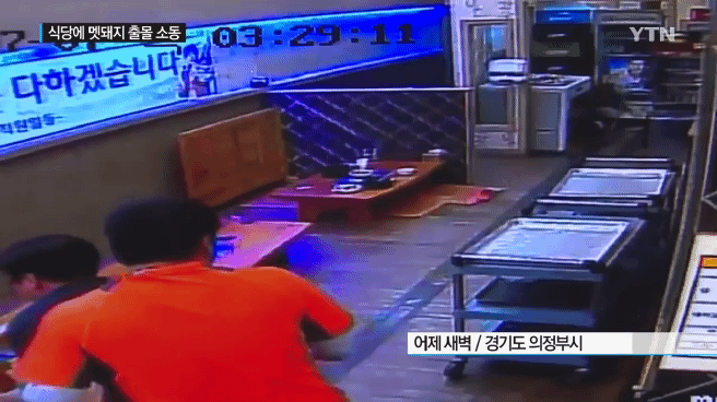 감자탕-먹다가-멧돼지가-처들어옴-1-이미지