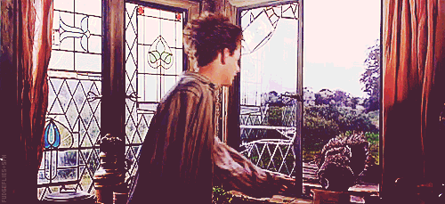 해리포터-론은-진짜-집에서-관심-굶주릴-만한-포지션이긴-한-듯ㅠㅋ-2-이미지