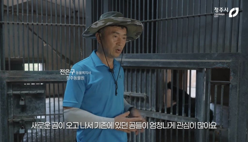 청주동물원-유튜브보는데-뭔-시트콤인줄.jpgif-1-이미지