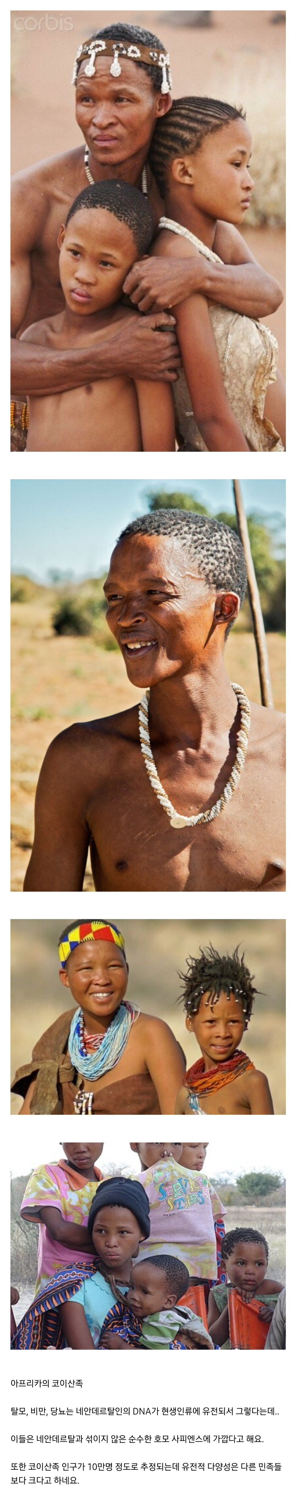 탈모-비만-당뇨가-없는-민족-0-이미지