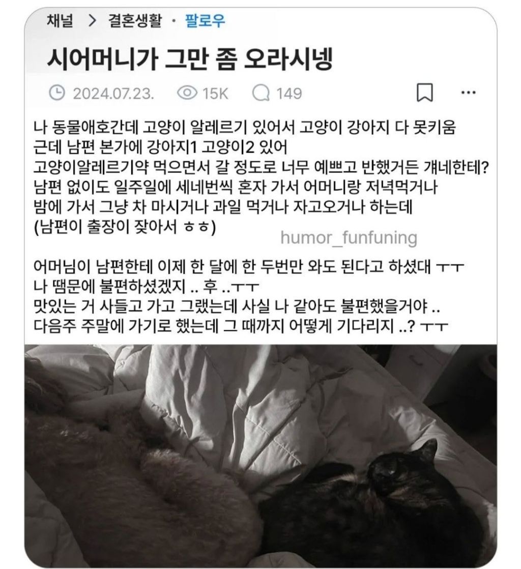 시어머니가-그만-좀-오라시넹..-0-이미지