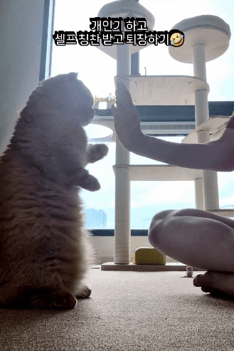 아침-바람-찬-바람에~-1-이미지