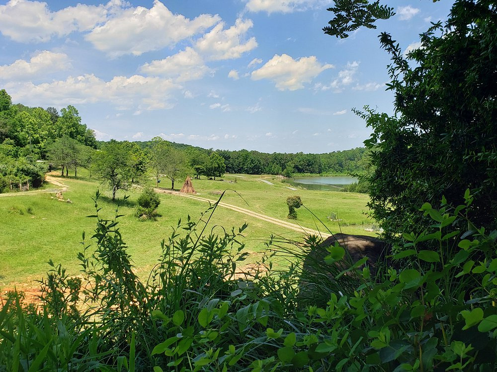 세계에서-가장-큰-사파리-동물원---미국-NC-Zoo-10-이미지