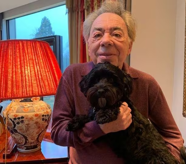 캣츠-작곡가-영화보고-충격받아서-강아지-키운-일화-ㄹㅇ-개웃김-ㅋㅋㅋㅋ-0-이미지