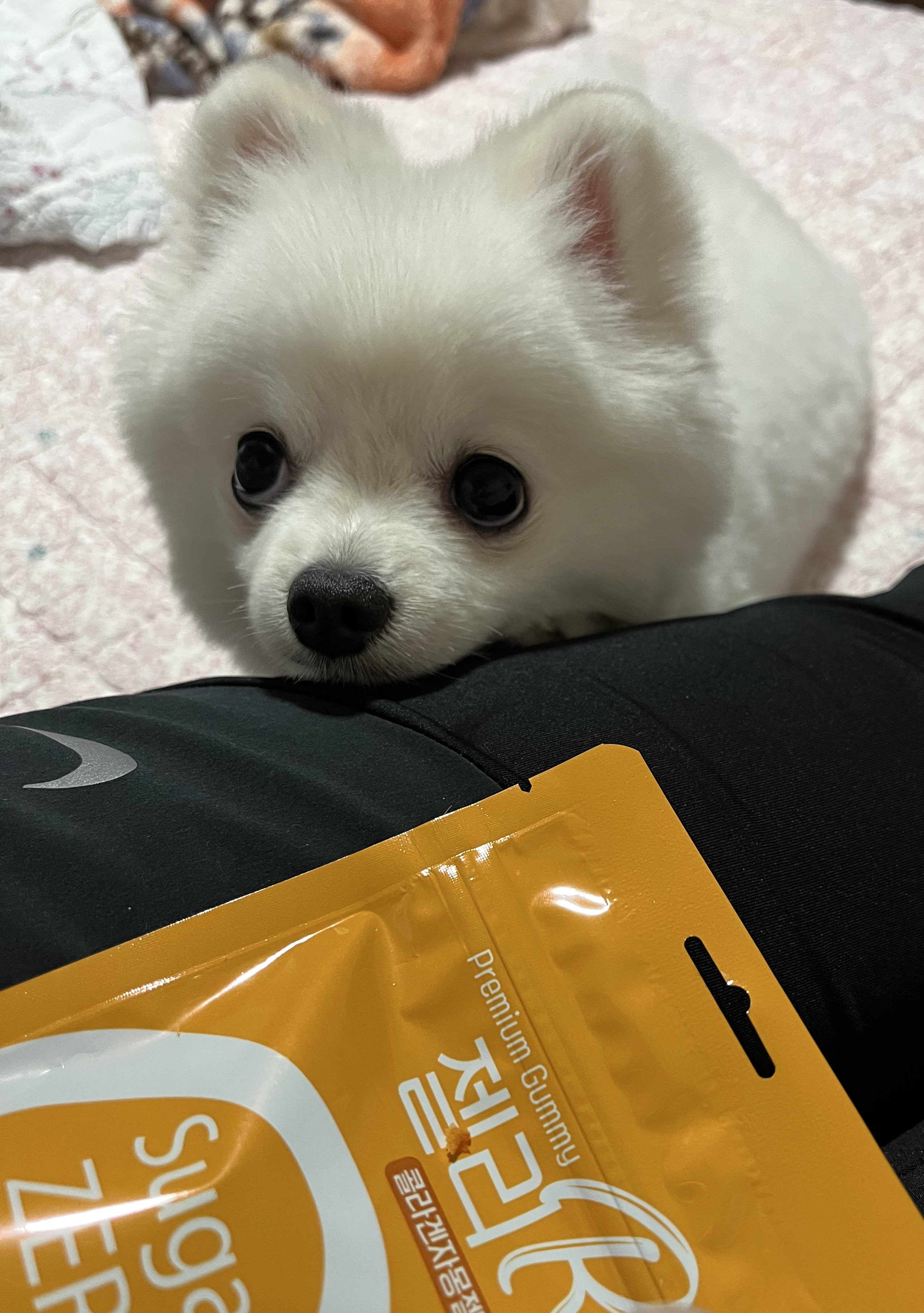 화장실-매니절-부른적-없다고...twt-2-이미지