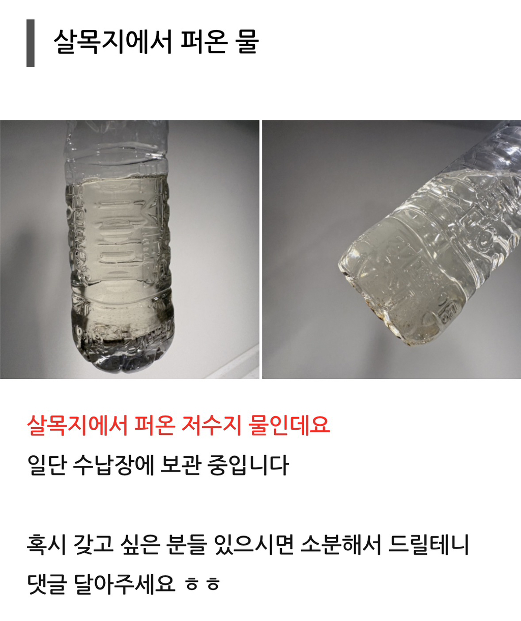 살목지-다녀온-후기(+살목지-물-떠왔어요)-20-이미지