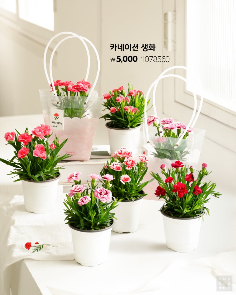 2026-다이소-가정의-달💐-어린이날부터~생화-카네이션-&-카네이션-브로치🌹-어버이날까지-준비-끝!🎁-우리-가족-웃음-버튼-ON-1-이미지
