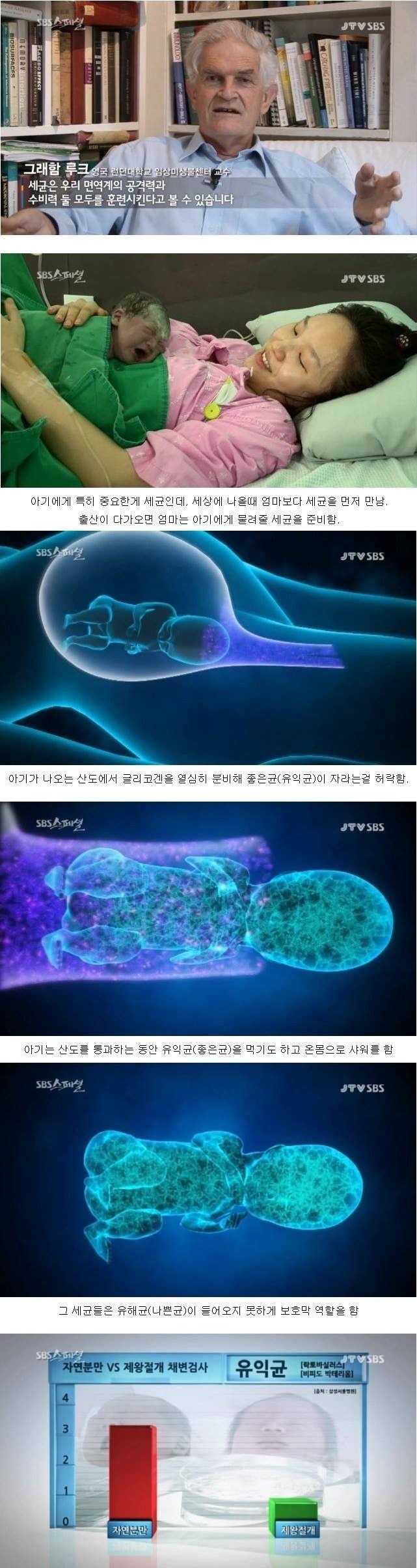 어릴-때-적당히-더러워야-오히려-건강하다...jpg-5-이미지