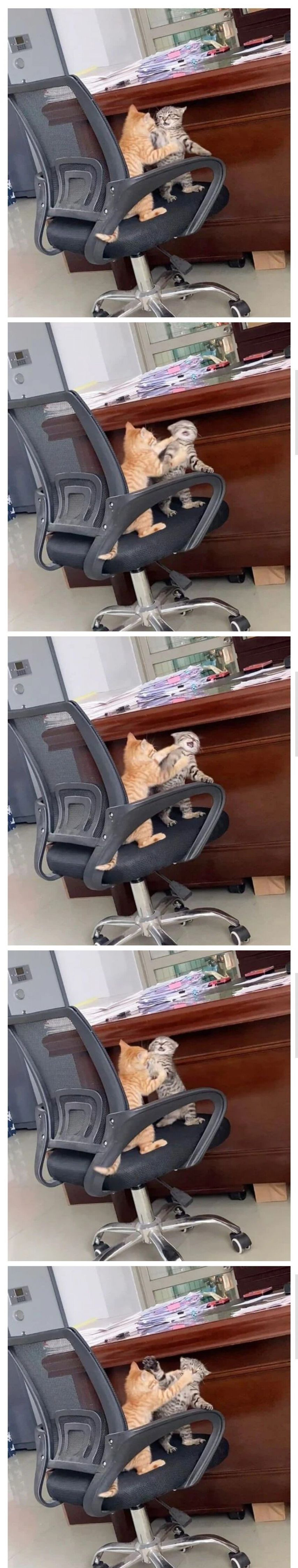 회사에서-싸움남-0-이미지