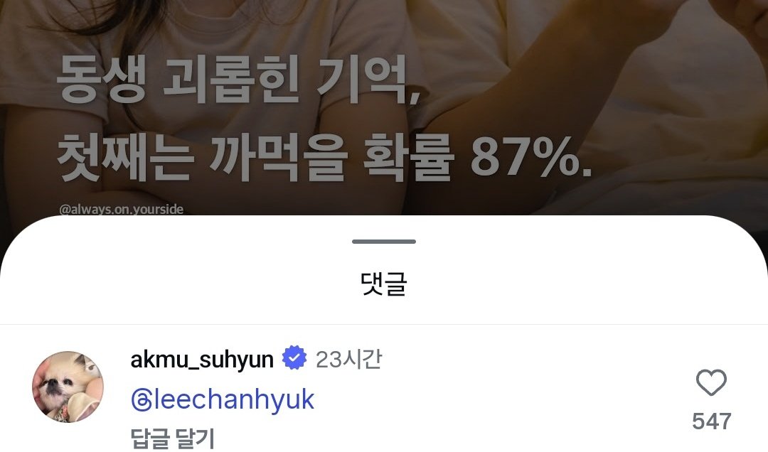 이수현이-이찬혁-인스타-댓글에-태그했는데-글내용-볼사람-1-이미지