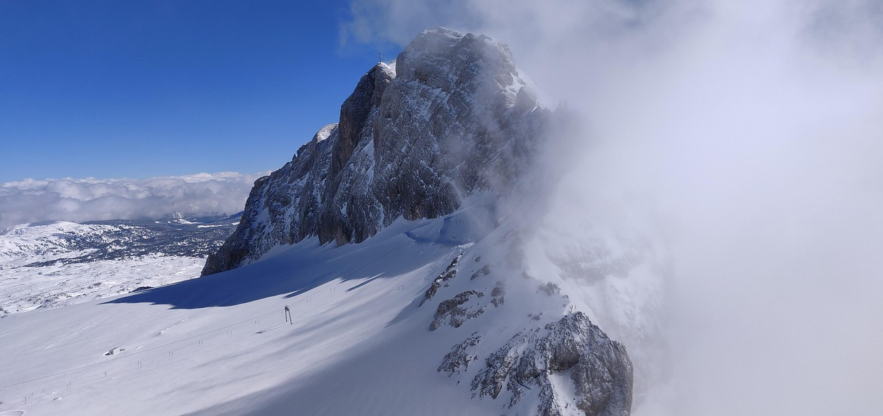 개가-사람을-좋아하게-된-찐-이유-0-이미지