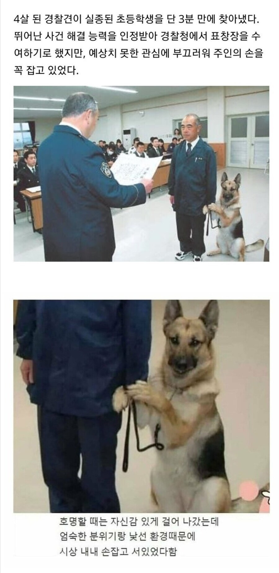 부끄-부끄-0-이미지